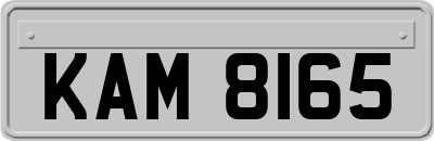 KAM8165