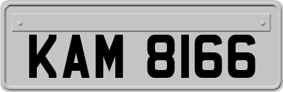 KAM8166