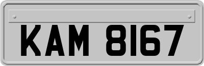 KAM8167