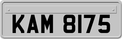 KAM8175