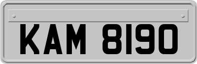 KAM8190