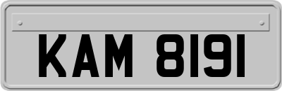 KAM8191