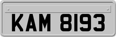 KAM8193