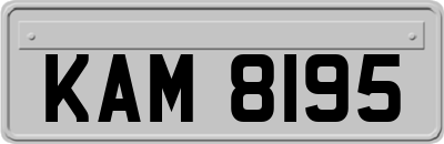 KAM8195