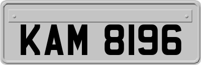 KAM8196