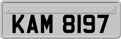 KAM8197