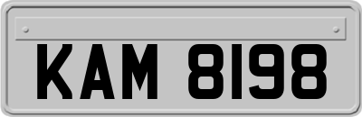 KAM8198