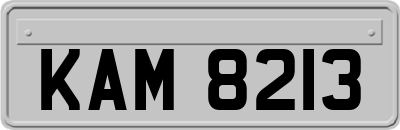 KAM8213
