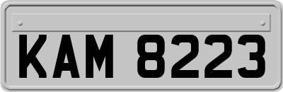 KAM8223