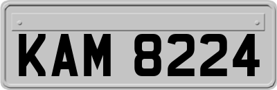 KAM8224