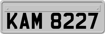 KAM8227