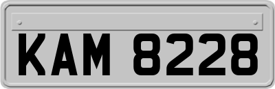 KAM8228