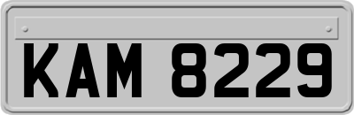 KAM8229