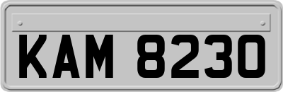 KAM8230