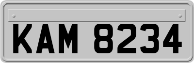 KAM8234