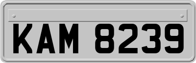 KAM8239