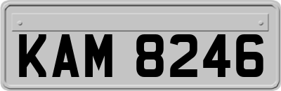 KAM8246