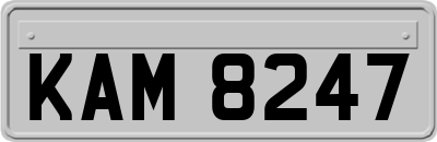 KAM8247