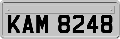 KAM8248