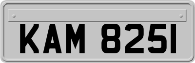 KAM8251