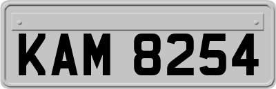 KAM8254