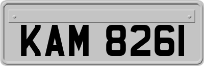 KAM8261