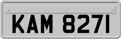 KAM8271