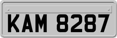 KAM8287