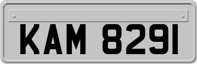 KAM8291
