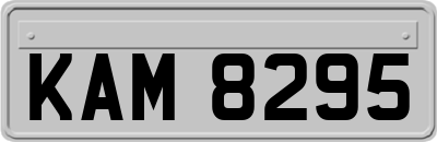 KAM8295