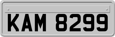 KAM8299