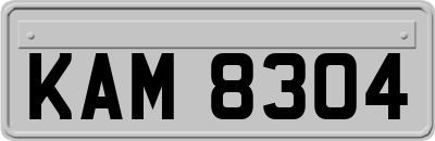 KAM8304