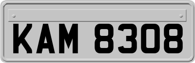 KAM8308
