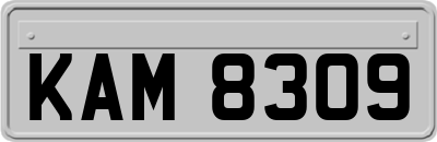 KAM8309