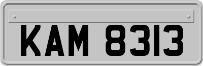 KAM8313