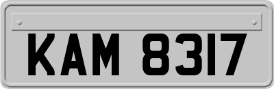 KAM8317
