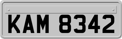 KAM8342
