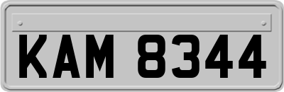 KAM8344