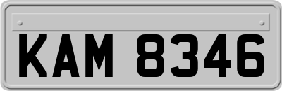 KAM8346