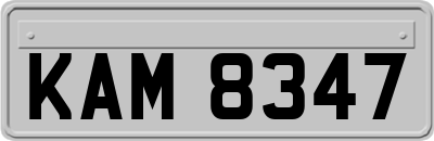 KAM8347
