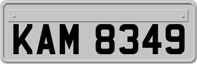 KAM8349