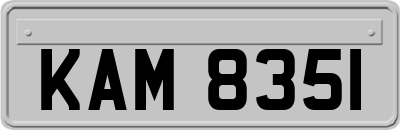 KAM8351