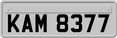 KAM8377