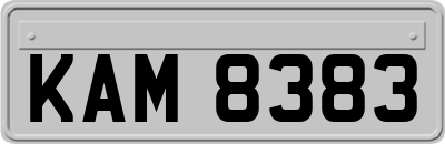 KAM8383