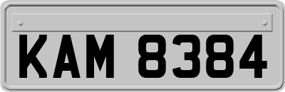 KAM8384