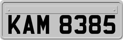 KAM8385