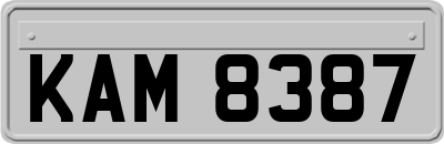 KAM8387