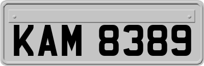 KAM8389
