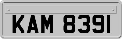 KAM8391