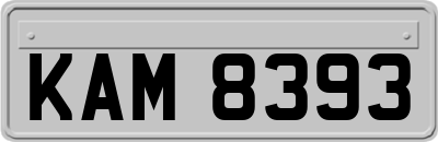 KAM8393